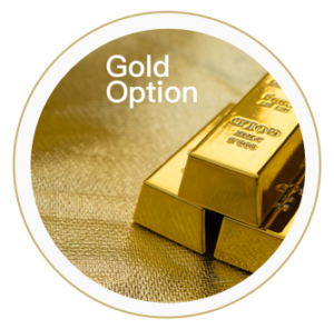 Shanghai Golden Option Pricing Model and Hedging Strategy