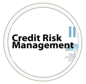 Credit Risk Monitoring System Interface Project